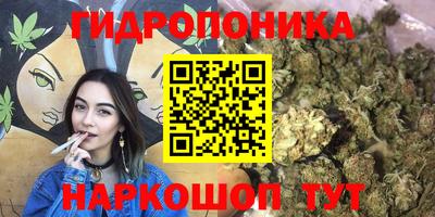 прущие крисы Волжск