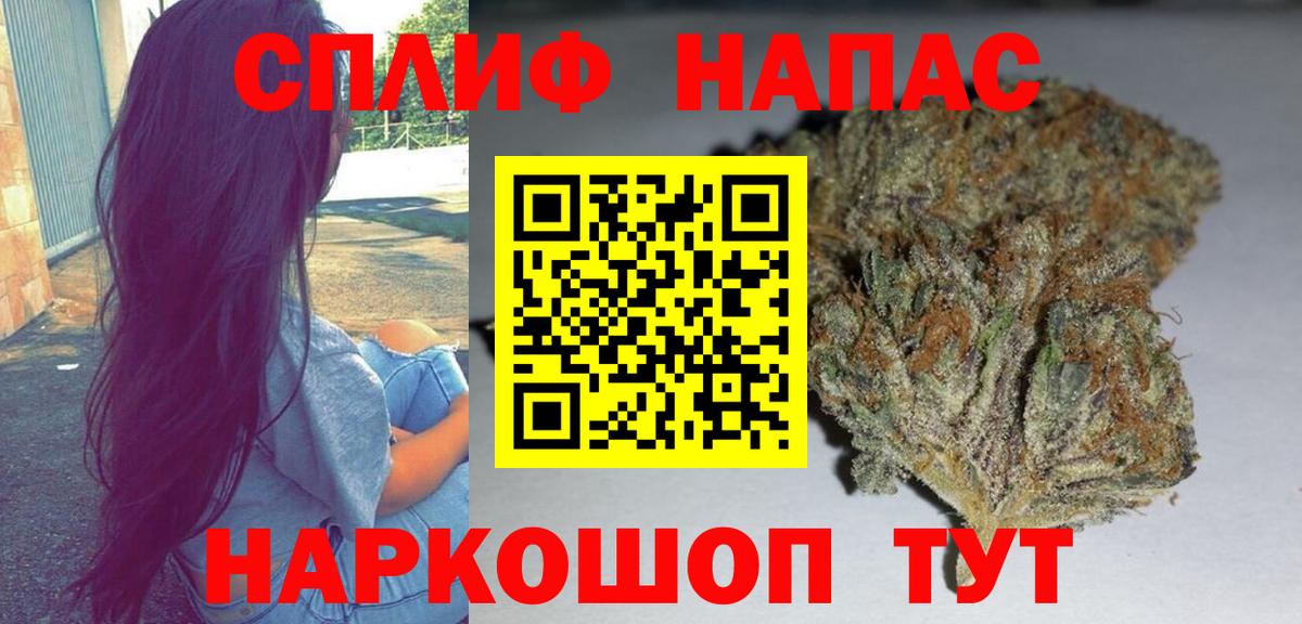 Бошки Шишки сатива Нефтекумск
